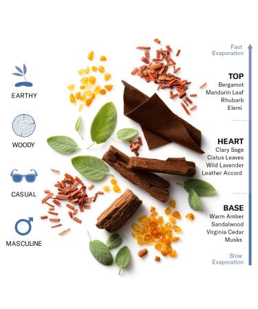 Stetson Spirit - Cologne Spray for Men - Woody Earthy and Casual Aroma with Fragrance Notes of Mandarin Leaf Clary Sage and Warm Amber- 1.7 Fl Oz - Buy Online on GoSupps.com