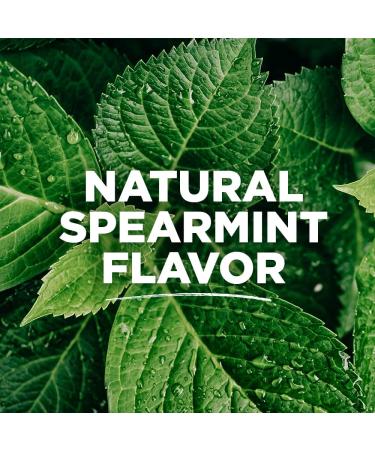 Tom s of Maine Naturally Waxed Antiplaque Dental Floss - Spearmint Flavor 32 Yards | Eco-Friendly Oral Care - Buy Online on GoSupps.com