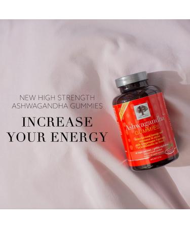 New Nordic Ashwagandha Gummies - Dietary Supplement for Stress Relief & Energy Support - Sugar-Free Non-GMO Gluten-Free & Dairy-Free - 60 Vegan Gummies 1 - Buy Online on GoSupps.com