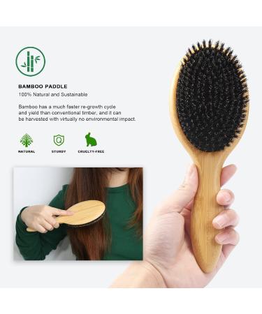 Bestool Hairbrush - Wild Boar Bristle Bamboo Paddle for Women Men & Children | Improve Hair Texture for Thin & Fine Hair - Buy Online on GoSupps.com