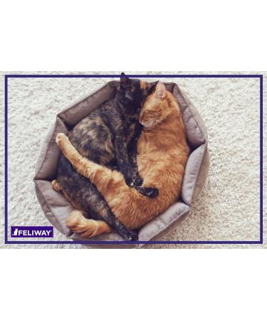 FELIWAY Friends Diffuser Refill (FELIWAY MultiCat) - Use with FELIWAY Cat Diffusers - Helps Reduce Fighting Tension and Conflicts Between Cats in The Home (30 Day Supply FELIWAY Refill D894) - Buy Online on GoSupps.com