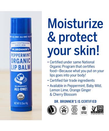 Dr. Bronner's Lipsticks in Hangpack Mint 4g - Organic Vegan & Cruelty-Free | International Shipping - Buy Online on GoSupps.com