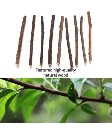 Newoutset 33 Pcs Cat Catnip Sticks Cat Catnip Chew Toys Natural Silvervine Matatabi Catnip Sticks Toys Cat Kitten Teething Toys Sticks for Cat Kitten Teeth Cleaning Including 3 x Cat Mouse Toy - Buy Online on GoSupps.com