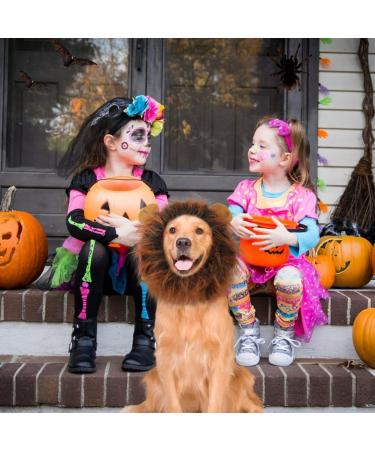 Adjustable Lion Mane Costume for Dogs with Ears - Dark Brown - Buy Online on GoSupps.com