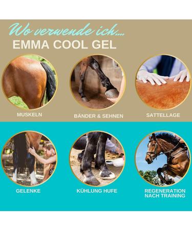 Refreshing Gel for Horses I Refreshing Horse Balm 1000 + 500 ml Refreshing Ointment with Arnica I Massage Cream for Tendons Joints Muscles and Ligaments I - Buy Online on GoSupps.com