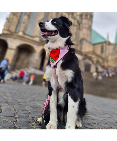 Max & Molly H-Shaped Dog Harness - Ultra-Comfortable Neoprene for Small Dogs | Strawberry Dream - Safe Padded & Lightweight - Buy Online on GoSupps.com