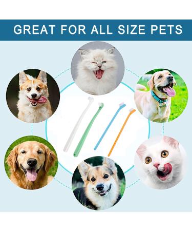 CAVLA 4 Pcs Small Dog Toothbrushes Cat Toothbrush Mini Head Soft Bristle Pet Toothbrush Pet Dental Care Kit Pet Oral Cleaning Products for Puppy Kitten Cats&Small Breed Dogs (B) - Buy Online on GoSupps.com