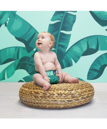 Bambino Mio Mioduo Reusable Nappy Cover Hummingbird Size 2 (9kgs+), Pack of 1 - Buy Online on GoSupps.com