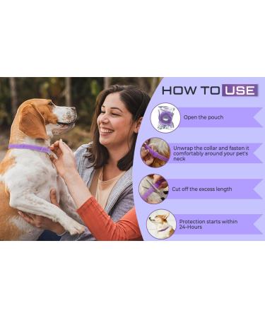 Dog Repellent Treatment Dog Repellent Collars Adjustable Small-Medium-Large Dog Repellent Collar Natural Repellent Collar for Dogs Waterproof Reflective Dog Repellent (Single Pack Purple) Single Pack Dog Purple - Buy Online on GoSupps.com