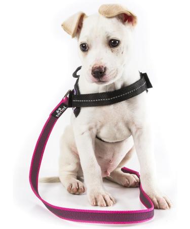 Buy IDC Color & Gray Rubberized Leash 20mm x 1m - Durable Pink-Gray Dog Leash for International Shipping - Buy Online on GoSupps.com
