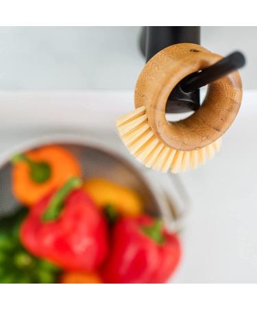 Full Circle The Ring Fruit and Vegetable 2 in 1 Fruit & Vegetable Cleaning Brush  Small (Pack of 1)  White - Buy Online on GoSupps.com