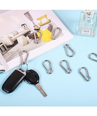 30 Pieces Stainless Steel Carabiner Hooks 4x40mm - Durable Small Snap Closure for Fishing Hiking & Backpacking with Storage Box - Buy Online on GoSupps.com