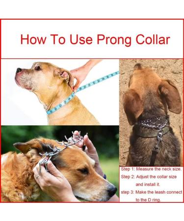 Metal Choke Chain for Dog Anti Bark Collars for Dogs Durable Thick Prong Collars for Pet Outdoor Training Stainless Steel Prong Collar for Large Medium Small Dogs (2mm*45cm) - Buy Online on GoSupps.com