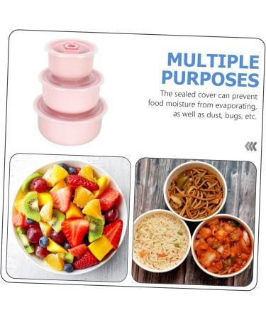 STOBAZA 1 Set Lunchbox Container Storage Boxes with Lids Household Food Case Mixing Bowl Refrigerator Work - Buy Online on GoSupps.com