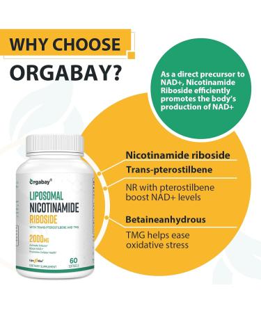 Orgabay Liposomal Nicotinamide Riboside 2000 MG with TMG and Pterostilbene | NAD+ Support for Healthy Aging | 480 Count 30.0 Servings | Pack of 1 - Buy Online on GoSupps.com