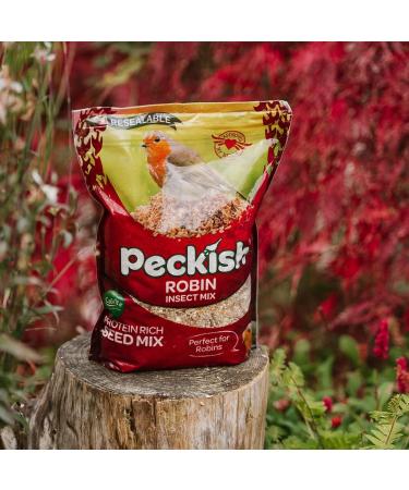 Peckish Robin Bird Seed and Insect Mix 1 kg brown 1 kg (Pack of 1) Single - Buy Online on GoSupps.com