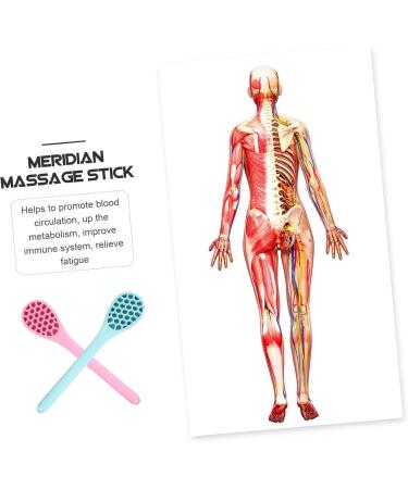 Minkissy Massage Hammer & Handheld Body Massage Device for Neck Shoulder and Back Relief - Long Handle Massage Tool - Buy Online on GoSupps.com