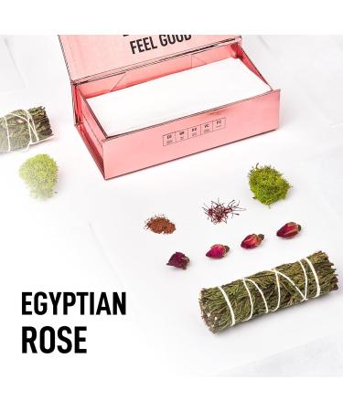 Buy Laundry Sauce Egyptian Rose Dryer Sheets – Eco-Friendly Fabric Softener for Fresh Laundry | Free International Shipping - Buy Online on GoSupps.com