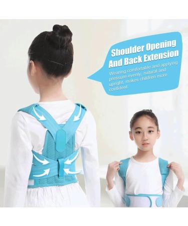 Back Posture Corrector Brace Back Shoulder Support Belt Posture Correction Belt for Belt Health Care Type B Blue M - Buy Online on GoSupps.com
