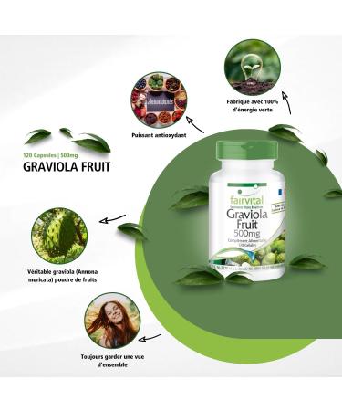Fairvital | Graviola Fruit Extract 500mg - box for 4 months - Highly dosed - 120 Capsules - Buy Online on GoSupps.com
