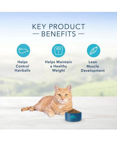 Blue Buffalo Indoor Hairball Control & Weight Control Adult Dry Cat Food 7lb - Chicken & Brown Rice - Buy Online on GoSupps.com