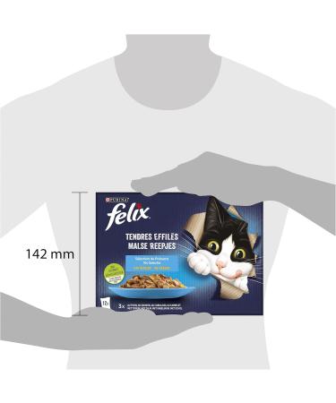FELIX Soft Shredded in Jelly | Adult Cat | Selection of Fish | Pack of 6-12 x 85 g | Freshness sachet - Buy Online on GoSupps.com