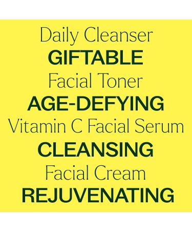 Plant Therapy Ready Set Glow- 4 Step Skin Care Set Includes Radiance Gel-Cream Cleanser Rose & Witch Hazel Facial Toner Vitamin C with Hyaluronic Acid Facial Serum & Hydrating Facial Cream - Buy Online on GoSupps.com
