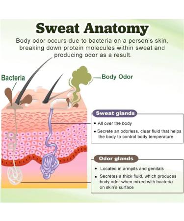 Anti-body odor cream anti-odor underarm cream anti-odor underarm cream deodorizing body cream sweat defense and odor control - Buy Online on GoSupps.com