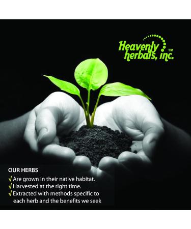 Heavenly Herbals Ashoka Q Mother Tincture - Natural Uterine Tonic for Healthy Menstruation - 2.0 fl oz - Made in USA - Buy Online on GoSupps.com