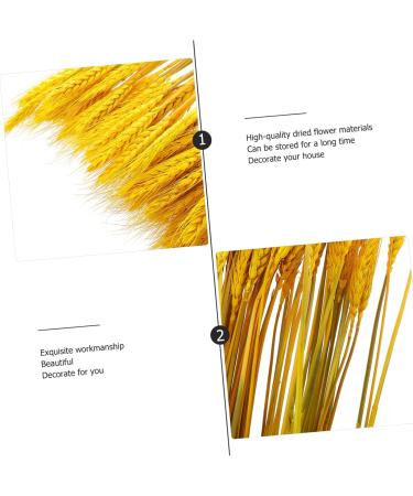 Amosfun 100pcs Dried Wheat Ears Bouquet Decor Wedding Wheat Ear Flowers Wheat Ear Dried Flowers Bouquet Natural Wheat Ear Dry Flowers Wheat Stalk Props Dried Flowers. Desktop - Buy Online on GoSupps.com