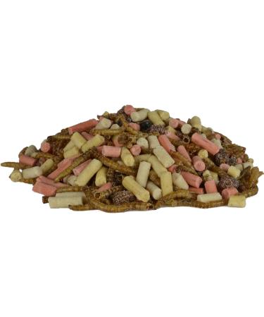 Supa Dried Mealworms Hi-Energy Suet Pellets & Fruit Mix - 1L Bucket | Protein-Rich Garden Bird Treat | Attract More Birds with Quality Wild Bird Food - Buy Online on GoSupps.com
