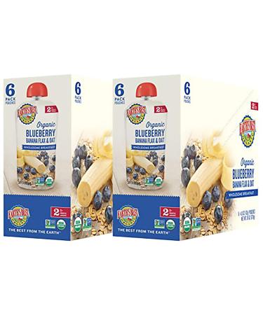 Earth's Best Organic Blueberry Banana Flax & Oat Baby Food | Stage 2 Breakfast | 3.5 oz Pouch (Pack of 12) - Buy Online on GoSupps.com