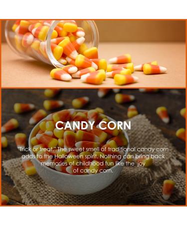 SALUBRITO Candy Corn Essential Oil 120ml - Pure & Natural Aromatherapy Oil for Diffusers, Skin, Headache Relief, Relaxation, Sleep, Candle & Soap Making - Strong Scented Fragrance Oil - Buy Online on GoSupps.com