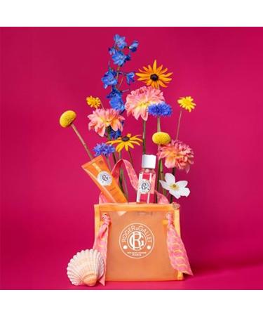 Roger & Gallet | Travel Pouch Travel Set | Includes 1 oz Fragrance Water 1.6 oz Shower Gel & Limited Edition Travel Pouch | All Natural Body Care (Neroli | N roli) Travel Pouch - Neroli - Buy Online on GoSupps.com