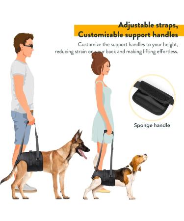 PZRLit Dog Lift Harness - Adjustable Mobility Aid Sling for Large Dogs' Hind Legs Perfect for Elderly and Disabled Dogs - Hip & Back Leg Support Vest for Walking Assistance Large - Buy Online on GoSupps.com