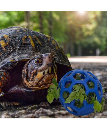 Tortoise Treat Ball Feeding Vegetable - Aquatic Turtle Toy & Feeder for Tank - Snail Habitat Accessories in Blue - Buy Online on GoSupps.com