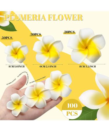 Crowye 100 Pieces Mixed Size Artificial Plumeria Flower Hair Clips - White Foam Hawaiian Frangipani for Women, Girls - Luau, Beach Party Wedding Accessories - Buy Online on GoSupps.com