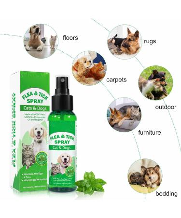 Fleas For Cats Powerful Prevention And Control For Fleas Eggs Fleas And Prevention For Cat Fleas - Buy Online on GoSupps.com