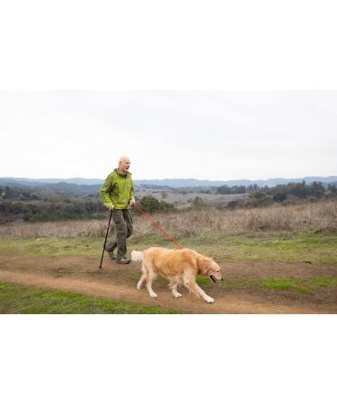 Black Folding Hiking Poles Set - Lightweight & Durable Alpenstocks for Outdoor Walking & Climbing - Buy Online on GoSupps.com