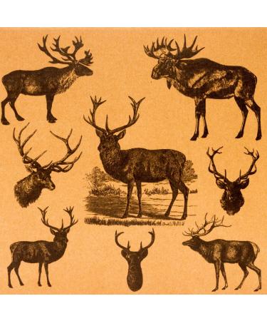 Advanced Large Mammal Tanning Kit by Dale Knobloch | Tan-a-Hide Solutions - Buy Online on GoSupps.com