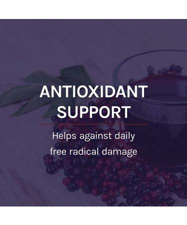 Fungi Perfecti Elderberry Plus Syrup 4 fl oz | Immune Support & Natural Wellness - Buy Online on GoSupps.com
