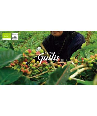 CAFES GUILIS DESDE 1928 AMANTES DEL CAFE - Organic coffee bean - High quality artisanal roast Agriculture Eco - 1kg - Buy Online on GoSupps.com