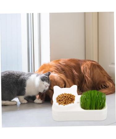 FOMIYES 3pcs set Reusable Suit Stencils Women Strap Grooming Diy Kit Pencil Styling Styles Full De for - Buy Online on GoSupps.com