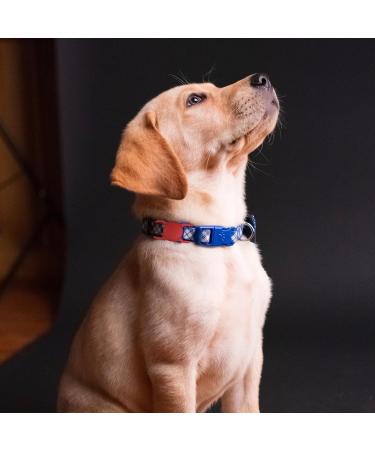 2pcs Airtag Dog Collar Holder Waterproof Silicone Case for GPS Tracker Scratch-Resistant Protective Airtag Case Air Tag Holder for Dogs Cats Pet Collars (Red+Blue) - Buy Online on GoSupps.com