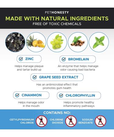 PetHonesty Oral Hygiene Water Additive for Dogs | Natural Dental Mouthwash for Clean Teeth & Fresh Breath | Targets Plaque & Tartar Build-Up - Buy Online on GoSupps.com