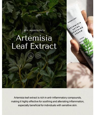 Nature Republic HERBOLOGY Artemisia Extra Soothing Cream - Cruelty-Free Moisturizer for Sensitive Skin - International Shipping Available - Buy Online on GoSupps.com