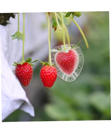 FUNOMOCYA 4pcs Strawberry Mold Small Fragrant Pear Modeling Melon - Buy Online on GoSupps.com