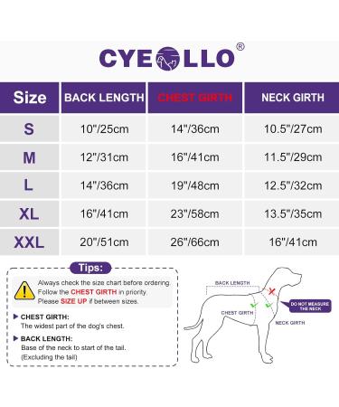 Cyeollo 2 Pack Dog Sweatshirts Fleece Jacket - Reflective Stripe - Soft Lightweight Sweaters for Small Dogs - Turquoise & Grey - Medium - Buy Online on GoSupps.com