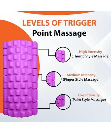 Buy Fascia Roll Purple with 3 Resistance Straps - Lightweight Spine Roller for Pain Relief | International Shipping - Buy Online on GoSupps.com