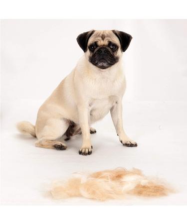 FURminator De-Shedding Tool for Large Dogs - Version 1.0 - 1 Count - Buy Online on GoSupps.com
